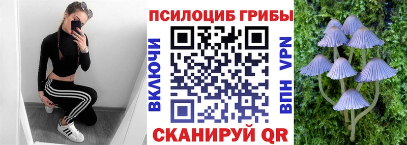 мега ONION  цены наркотик  Брянск  Псилоцибиновые грибы MAGIC MUSHROOMS 
