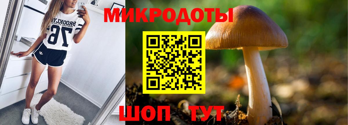 Брянск  Псилоцибиновые грибы прущие грибы  Псилоцибиновые грибы мицелий  Вход с VPN 